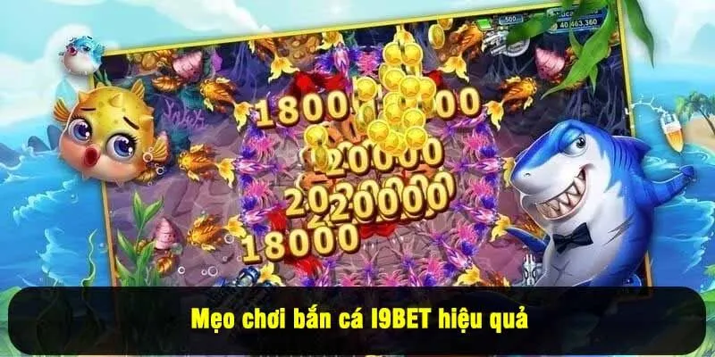 Mẹo chơi bắn cá I9BET hiệu quả